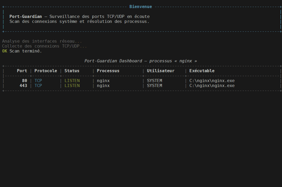 Port-Guardian - Screenshot 2